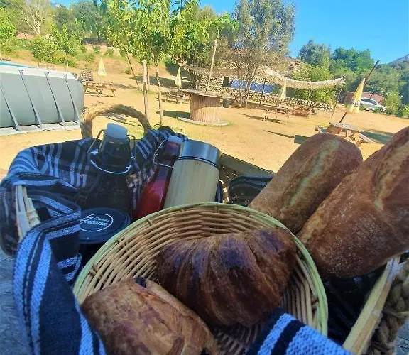 La De Mercone Cintu *